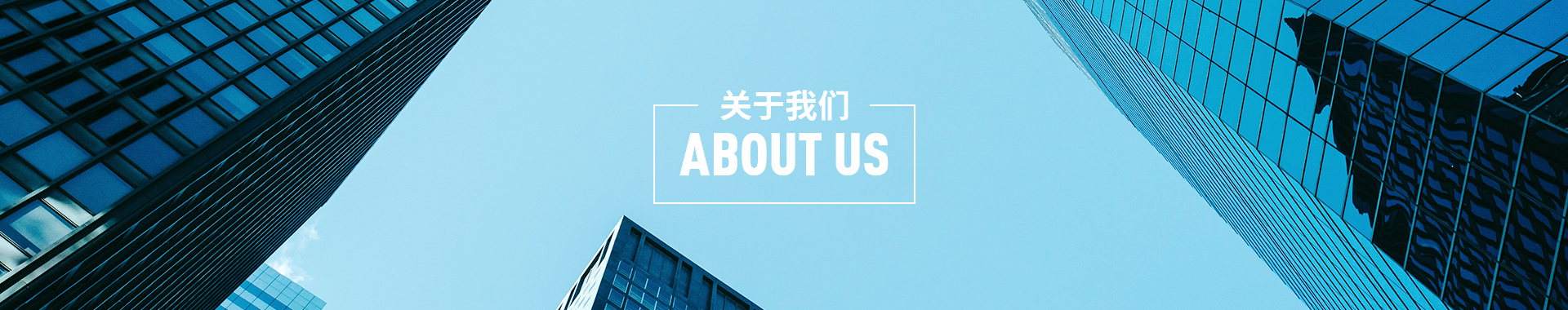 关于我们