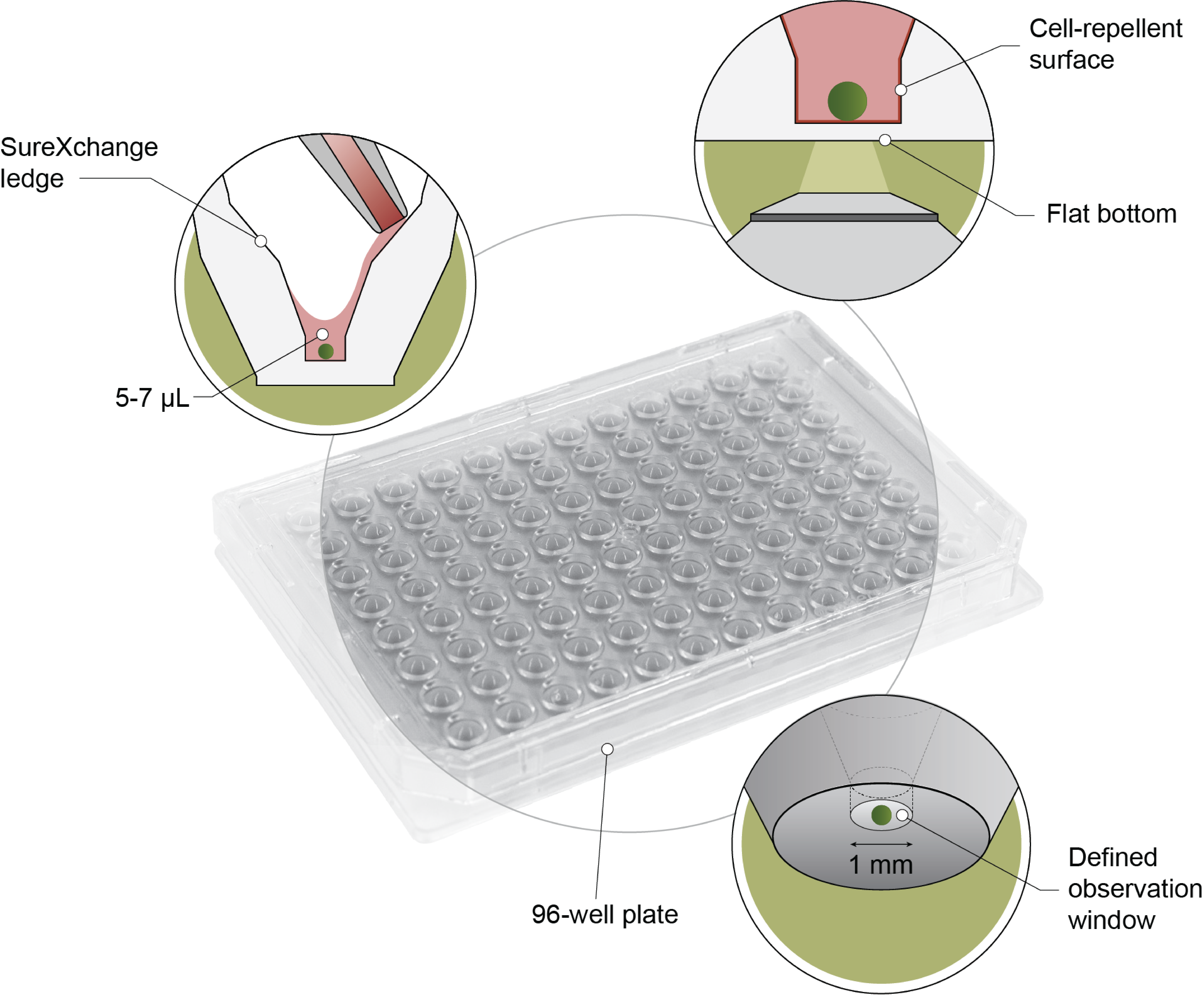 Akura 96 Spheroid Microplate
