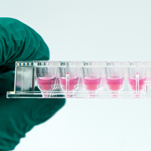 Akura 96 Spheroid Microplate