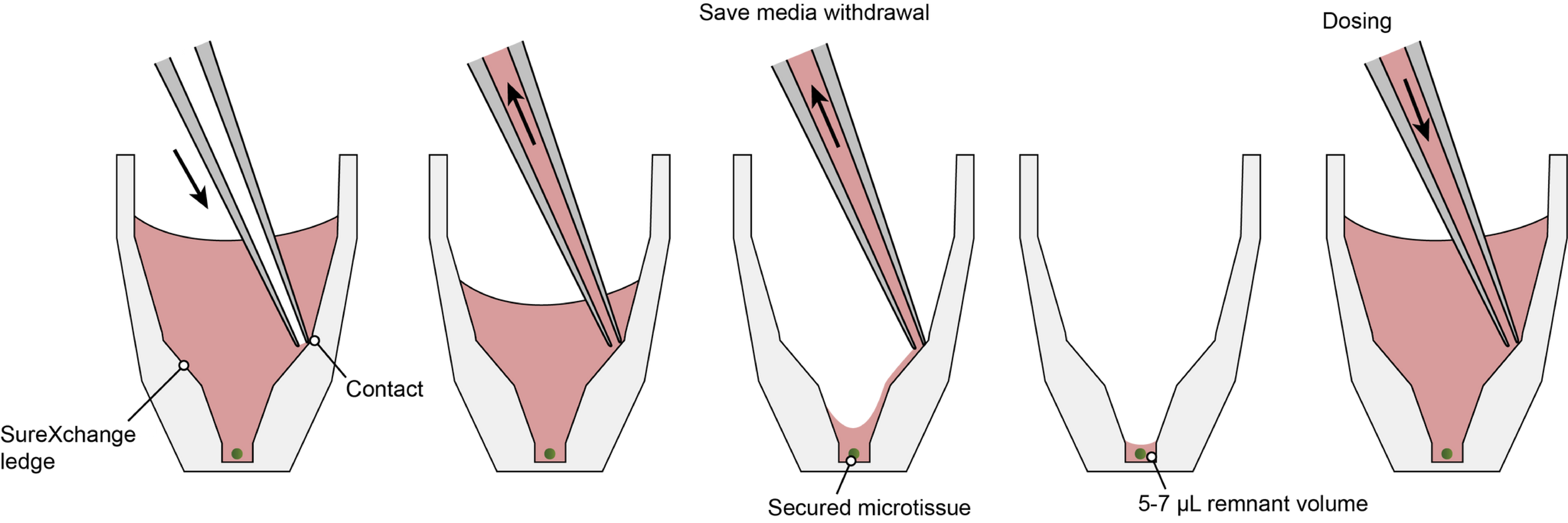 Akura 96 Spheroid Microplate