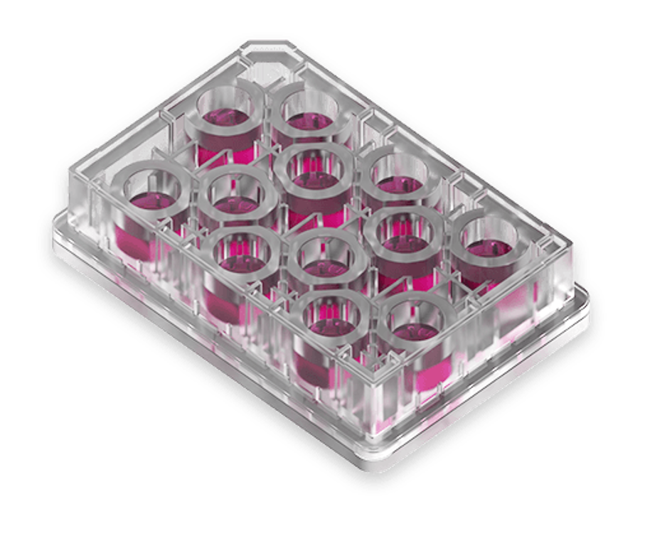 T12屏障微流控芯片板