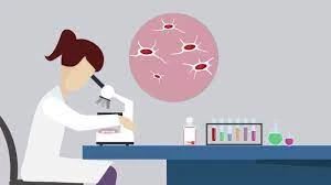 人血小板裂解物（hPL）系列分享（二）：利用微载体体外培养人间充质干细胞（hMSCs）