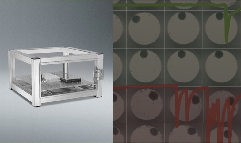 使用Incubox细胞孵育箱降低边缘孔效应（edge-effects）并减少孔间差异