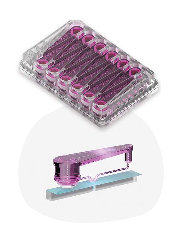 LC12&48肝脏微流控芯片板