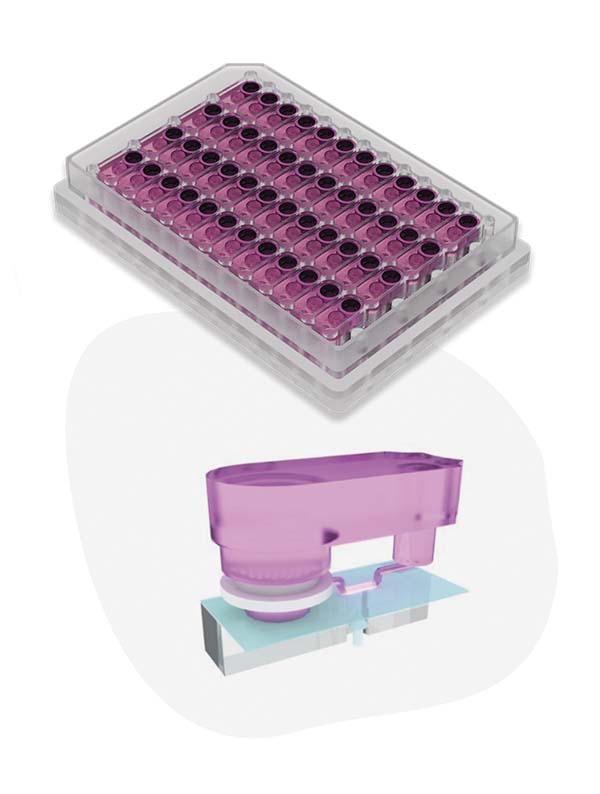 LC12&48肝脏微流控芯片板