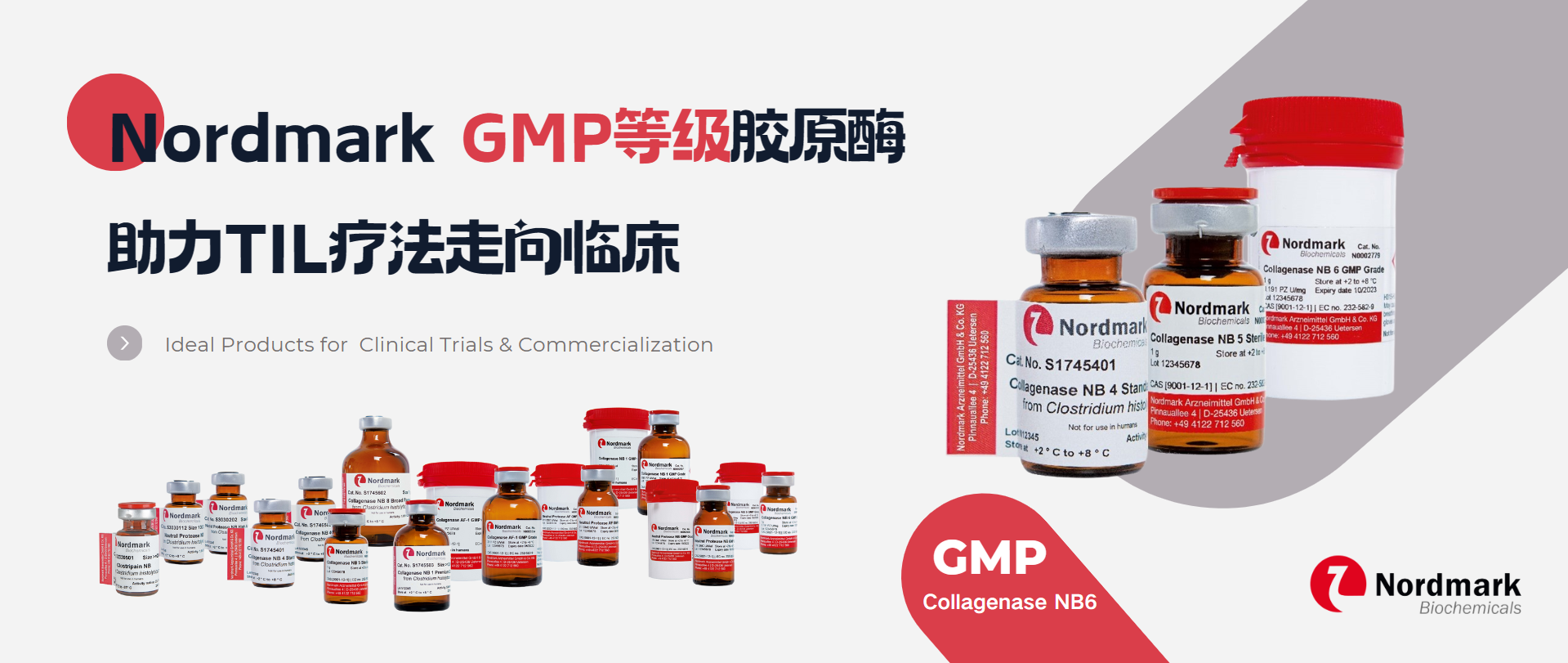 Nordmark GMP等级胶原酶助力TIL疗法走向临床