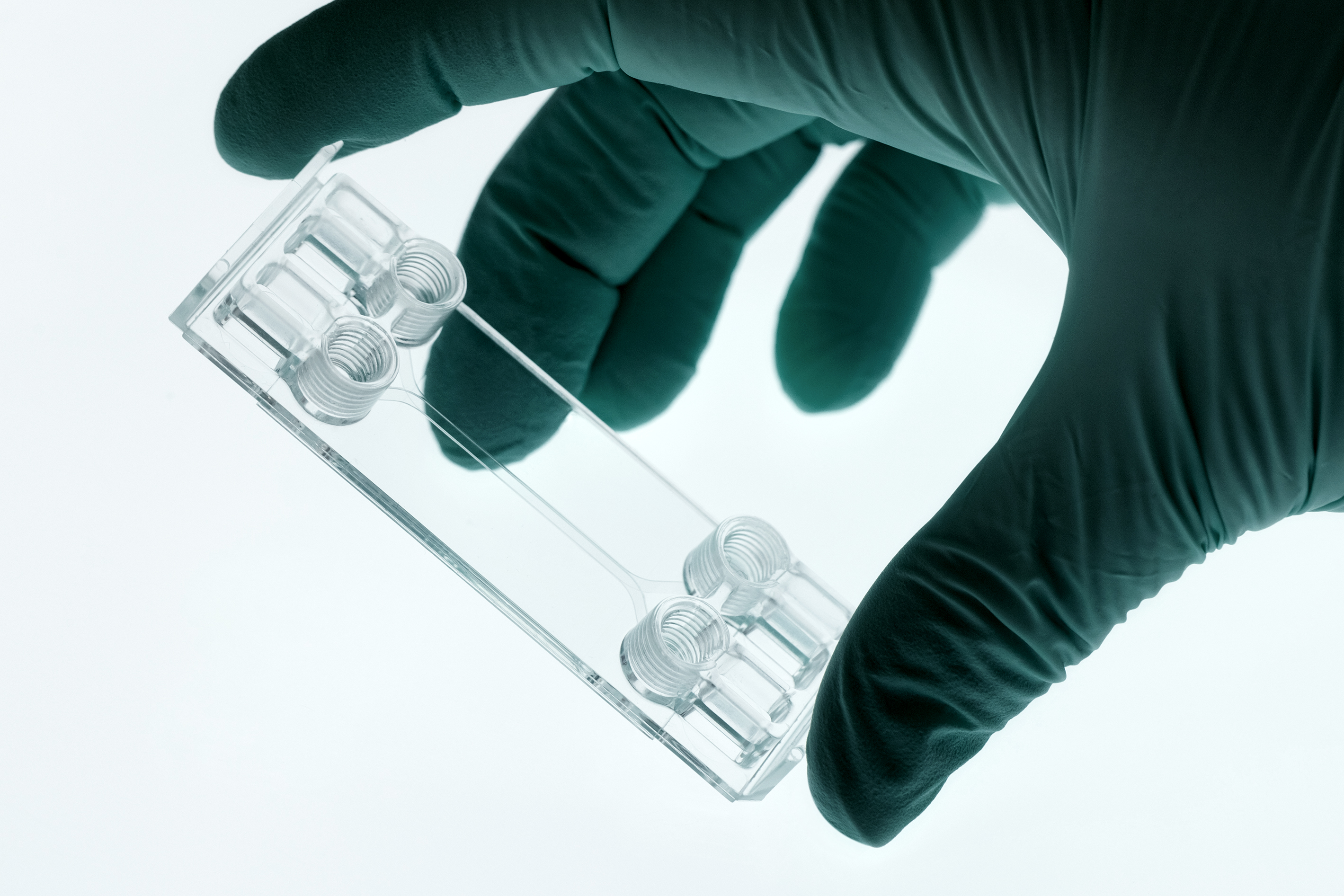 Beonchip 微流控芯片