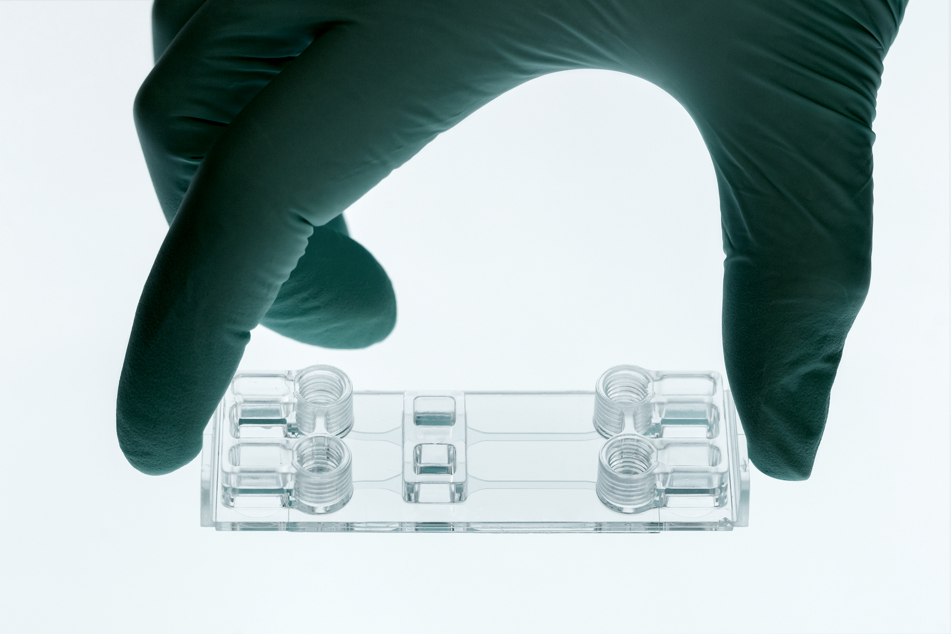 Beonchip 微流控芯片