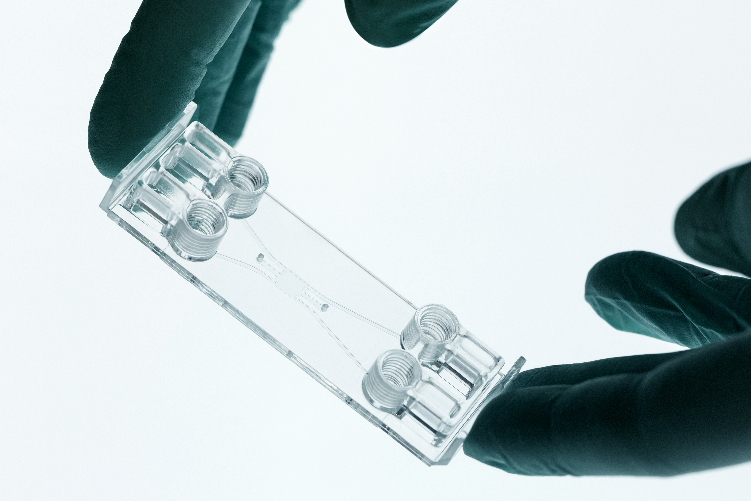 Beonchip 微流控芯片