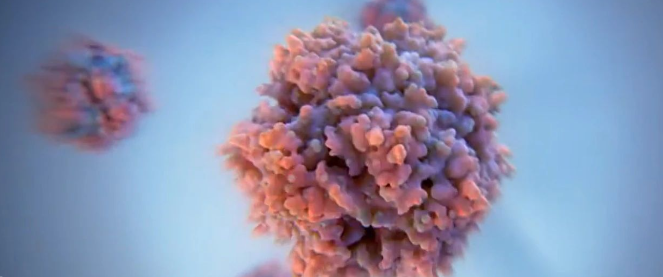 精选 | AAV生产滴度倍增的工艺优化新策略