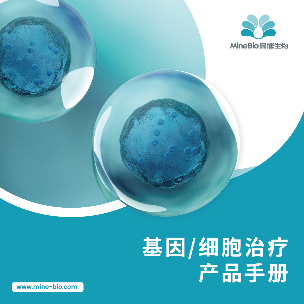 CGT细胞基因产品手册