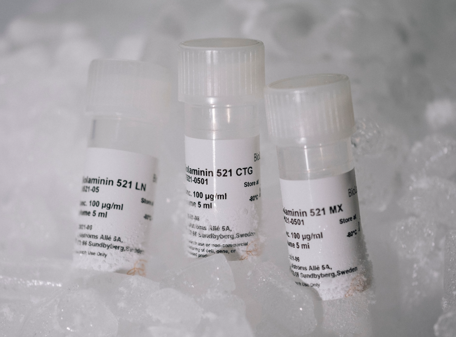 Biolaminin 521 LN（LN521），Human recombinant laminin 521