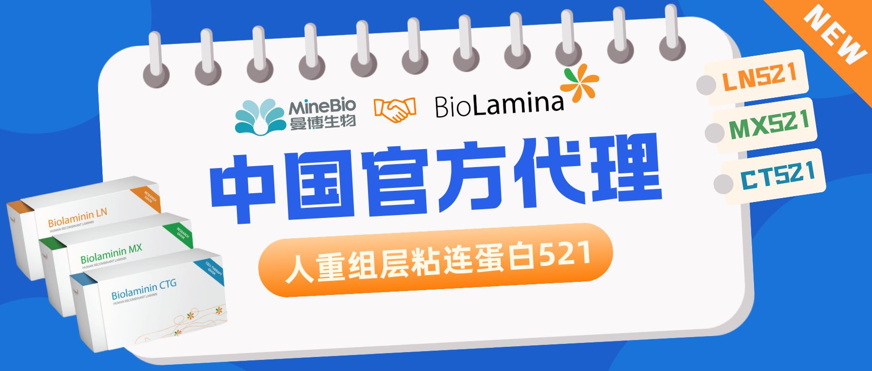 【热烈祝贺】曼博生物代理瑞典BioLamina人重组层粘连蛋白LN521及全线产品