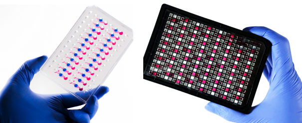AKITA Plate高通量器官芯片板
