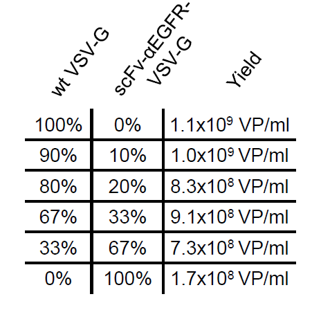 不同比例的wt-lentivirus