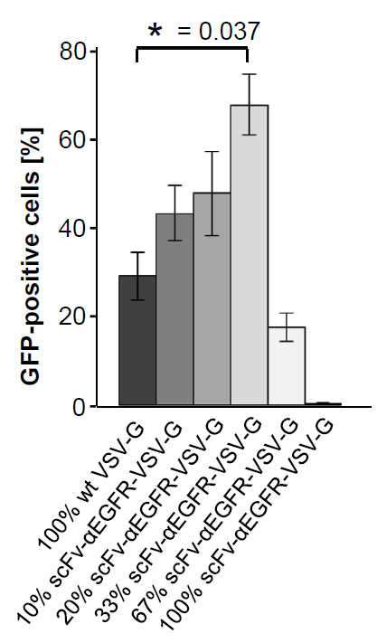 不同比例的wt- lentivirus对HEK293T的转导效率
