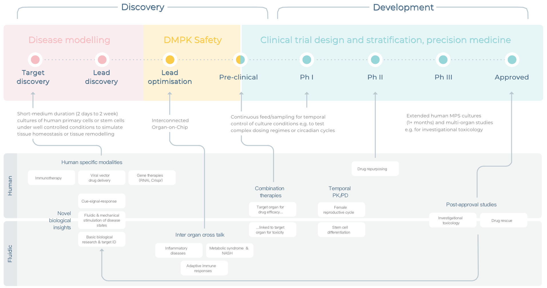 器官芯片适合的药物发现和开发阶段