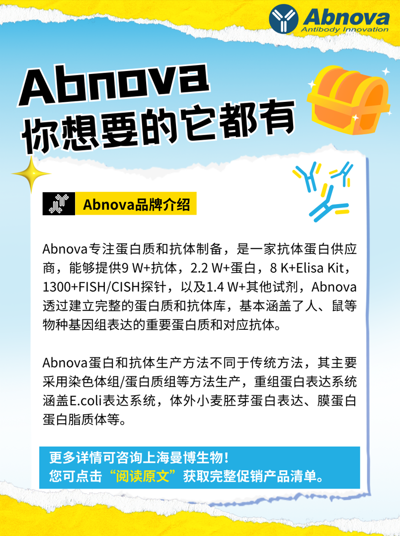 Abnova抗体蛋白2