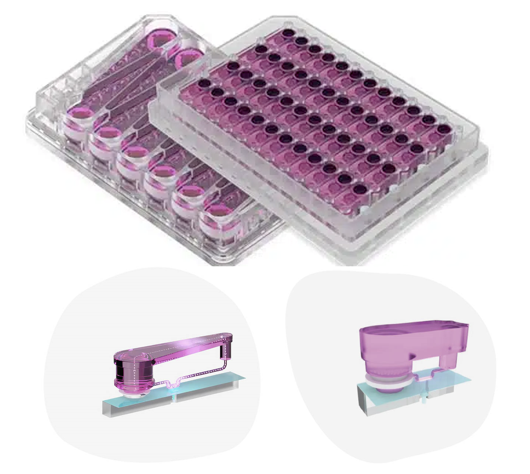 CNBio MPS-LC12 & MPS-LC48