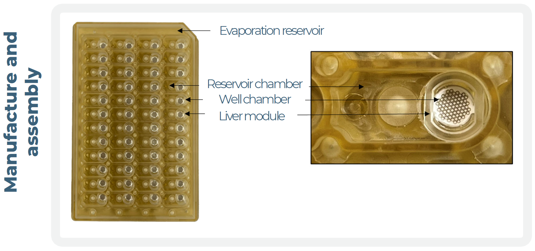 CNBio LC48耗材板与单个样品孔