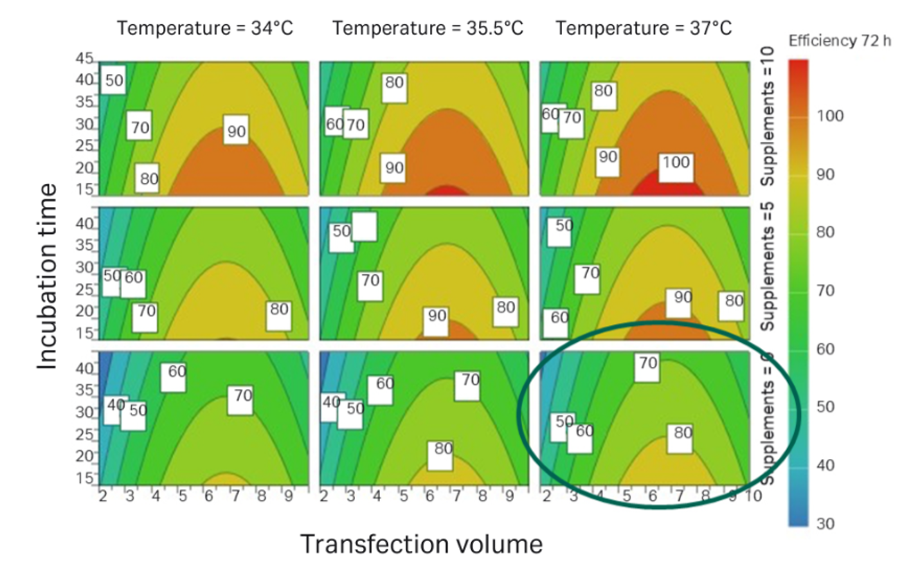 细胞转染多参数优化