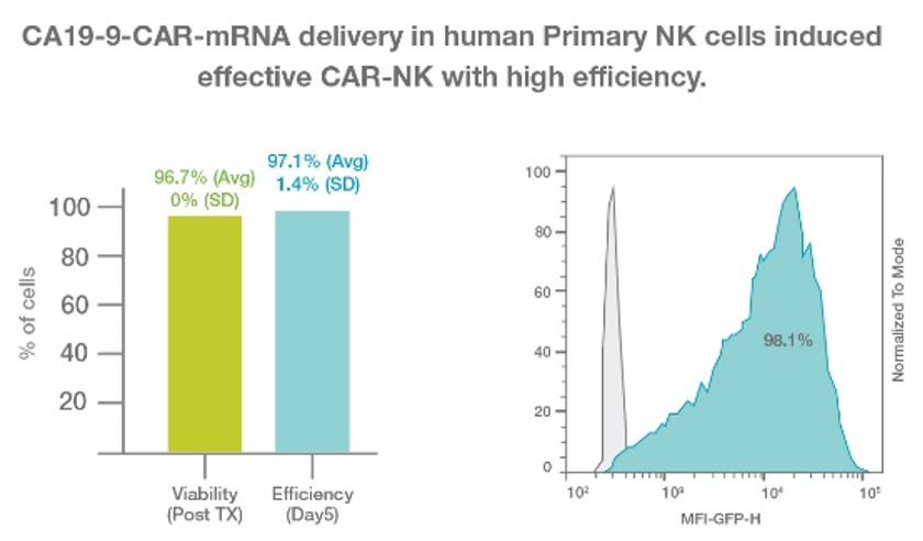 Femtobiomed的CellShot系统单一成分转染效率