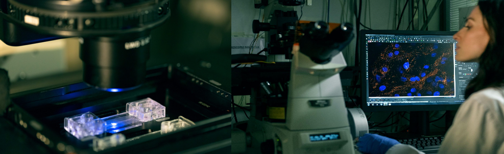 beonchip光学特性