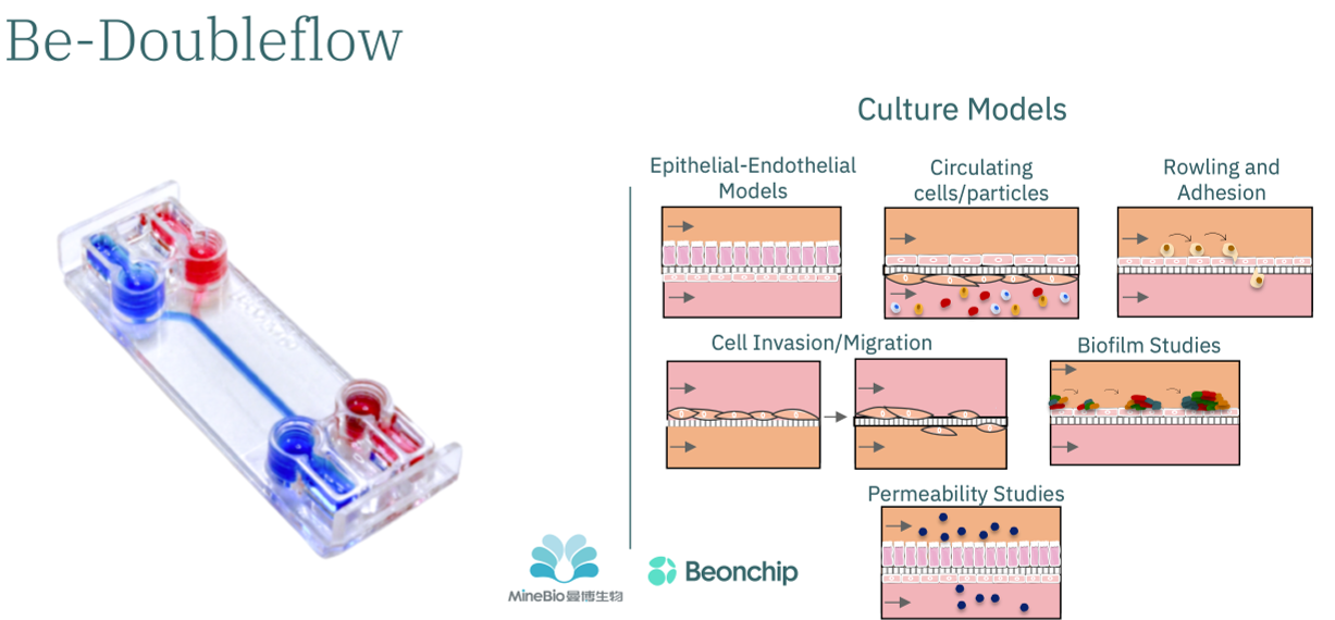 Be-Doubleflow微流控芯片