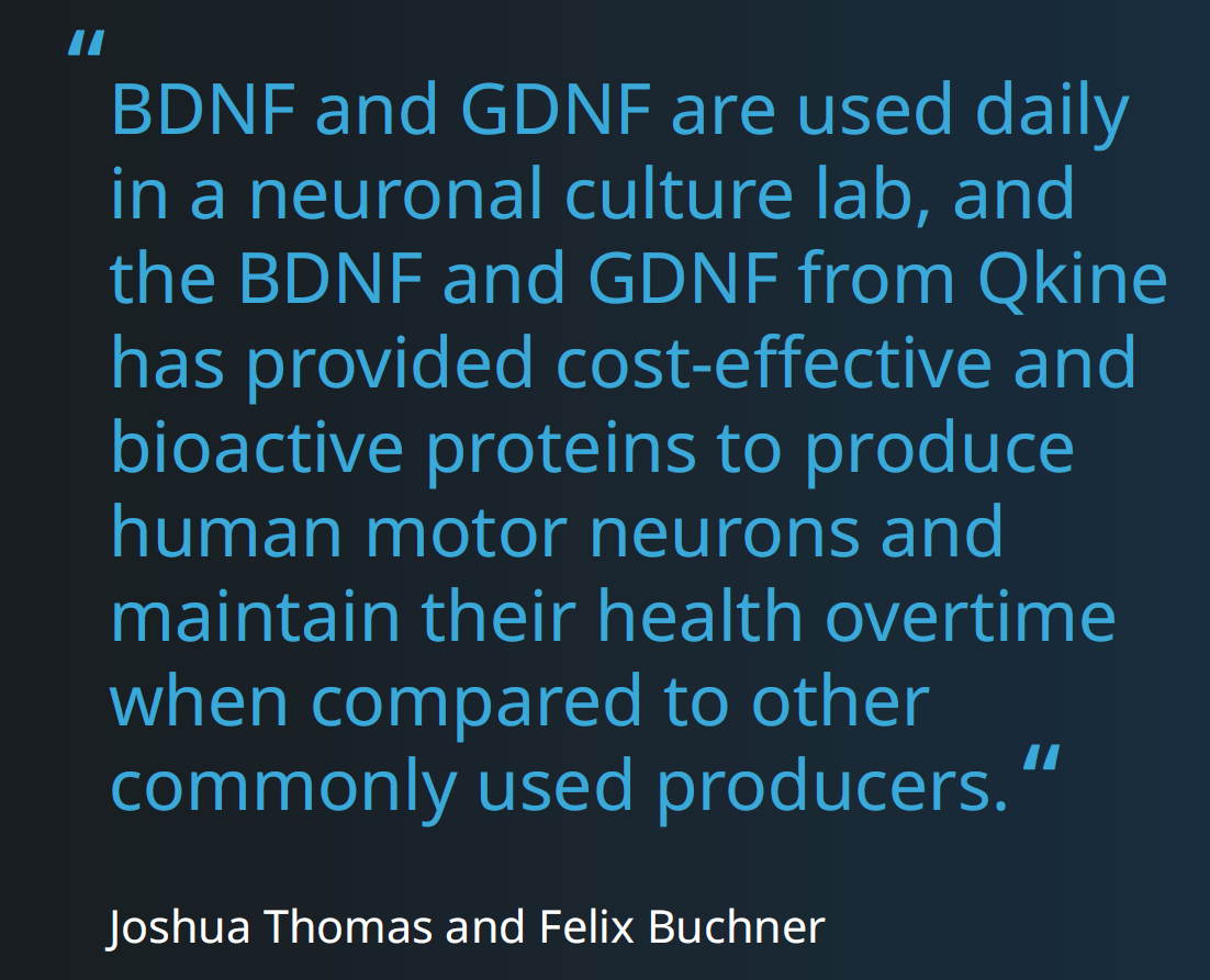 Qkine-AOF蛋白可以满足培养MN的规模化挑战