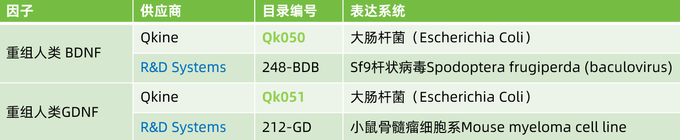 Qkine与R牌BDNF及GDNF的功效比较