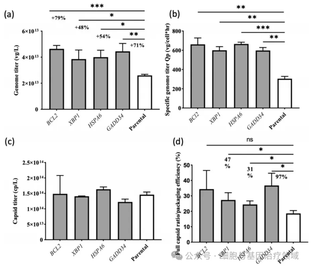 使用传统三质粒瞬时转染方法来评估rAAV载体的产量和质量