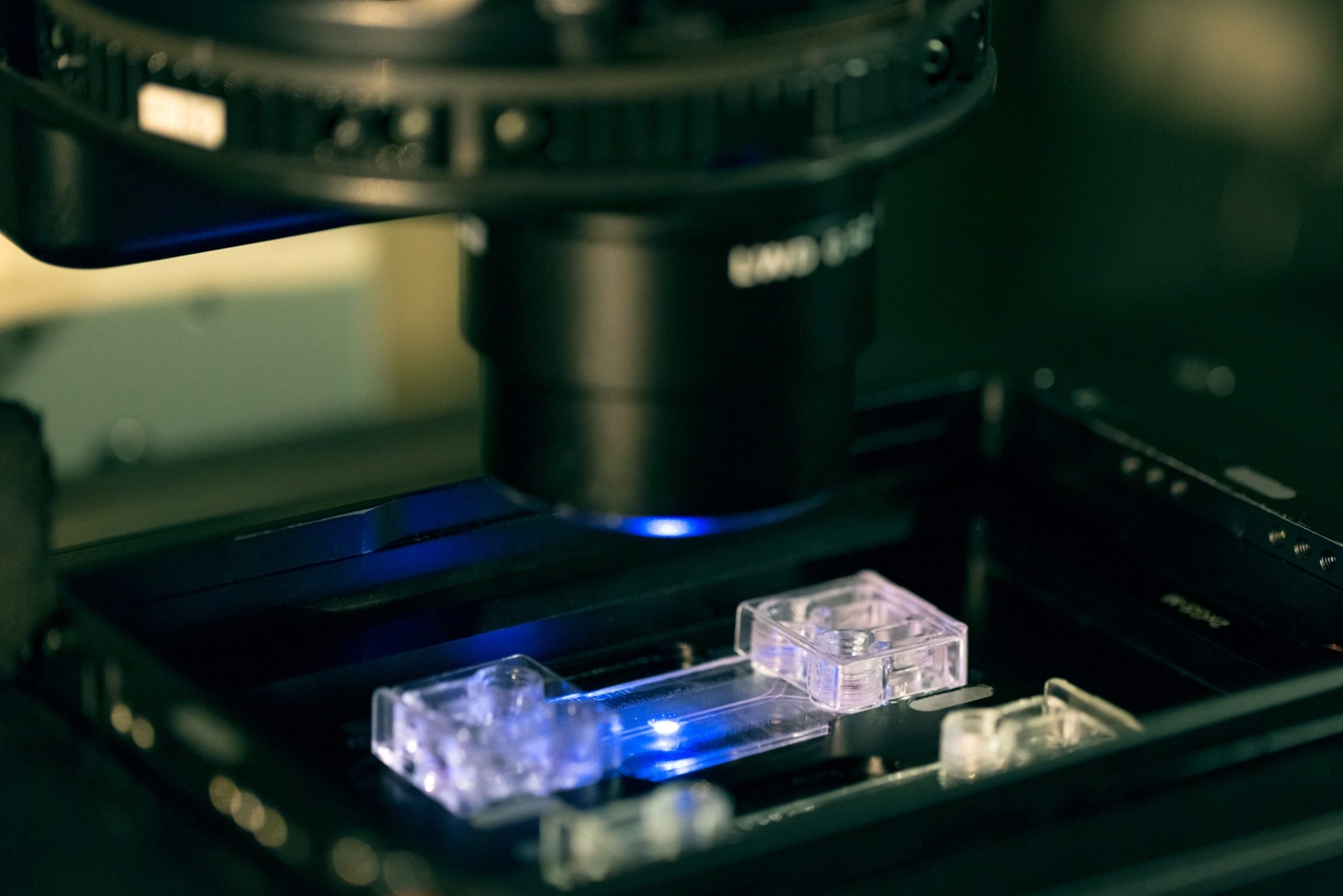 Beonchip光学特性