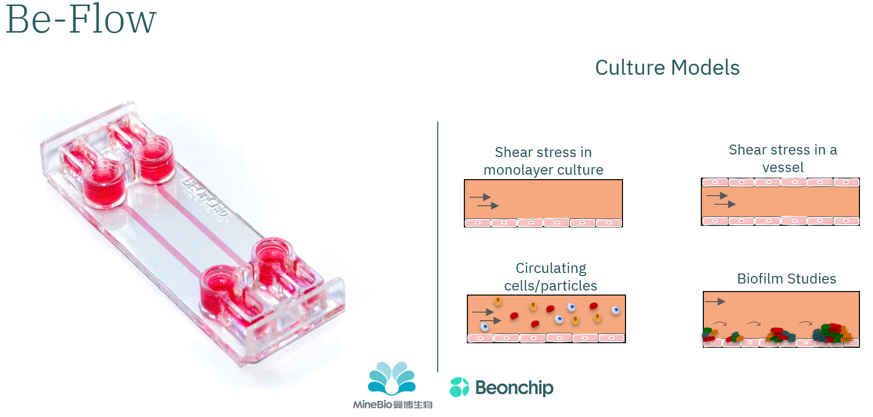 Beonchip微流控芯片Be-Flow