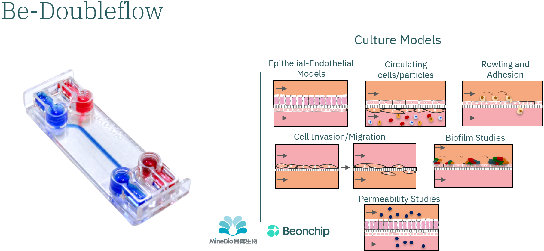 Beonchip微流控芯片Be-Doubleflow
