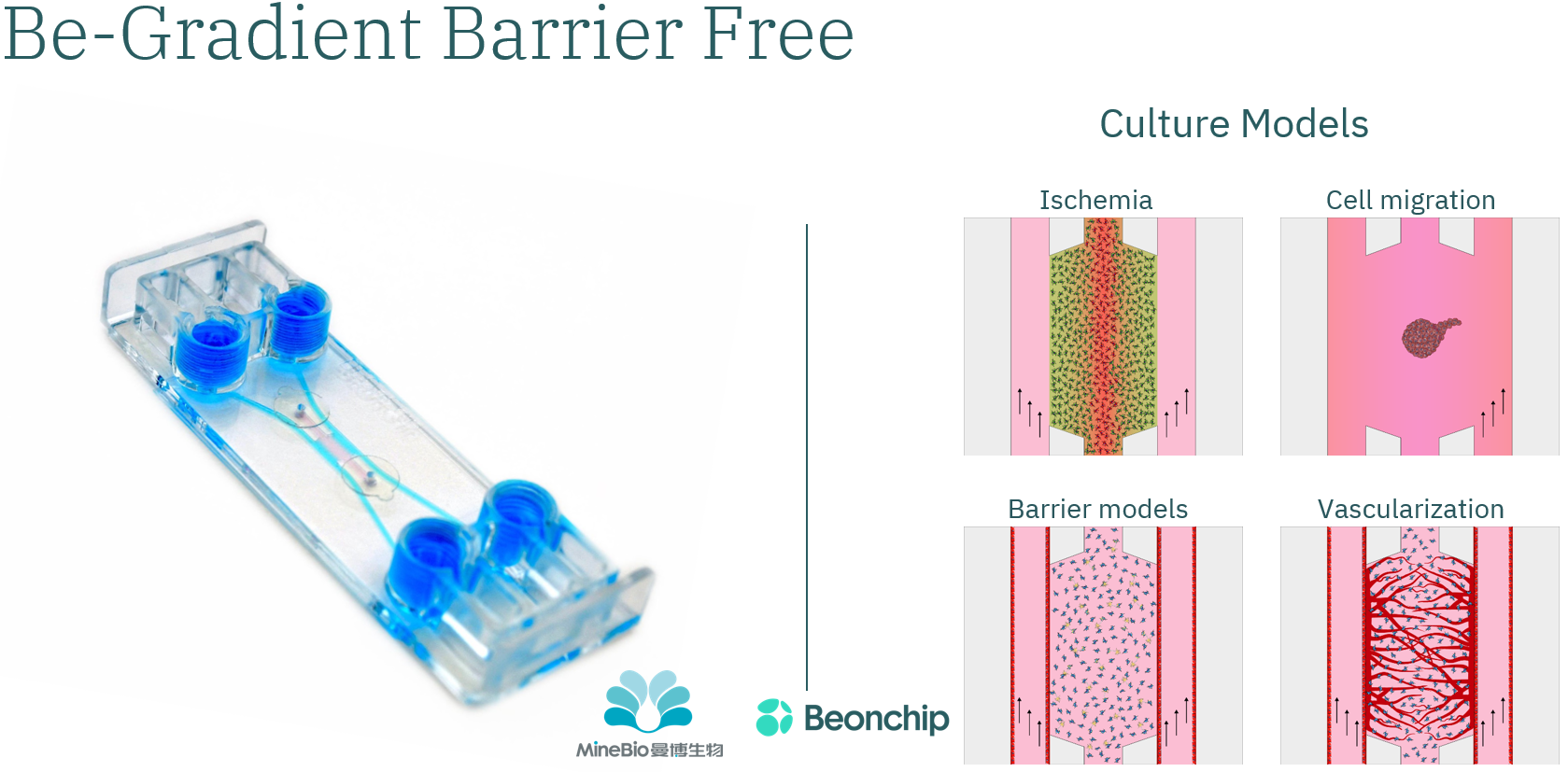 Beonchip微流控芯片Be-Gradient