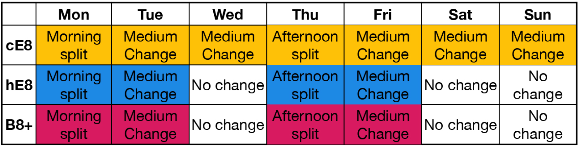 三种不同培养基中hiPSC培养的每周时间表