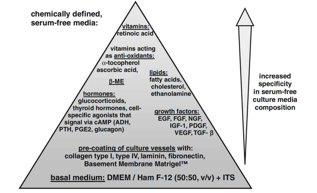 J. van der Valk培养基金字塔