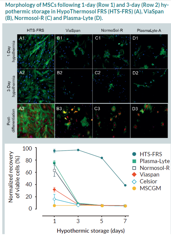 比较不同储存介质对低温储存后hMSC恢复的效果