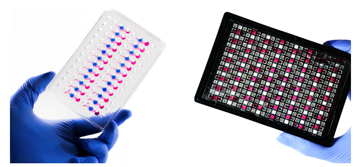 芬兰AKITA Plate-曼博生物代理