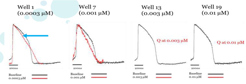 试验化合物:多非利特(TdP高风险)