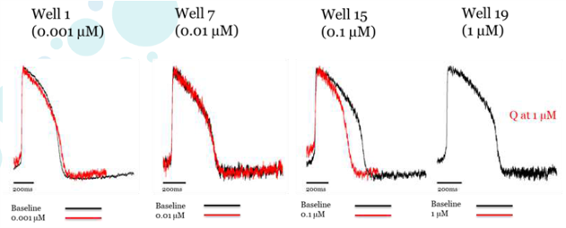 试验化合物:维拉帕米(低TdP风险)