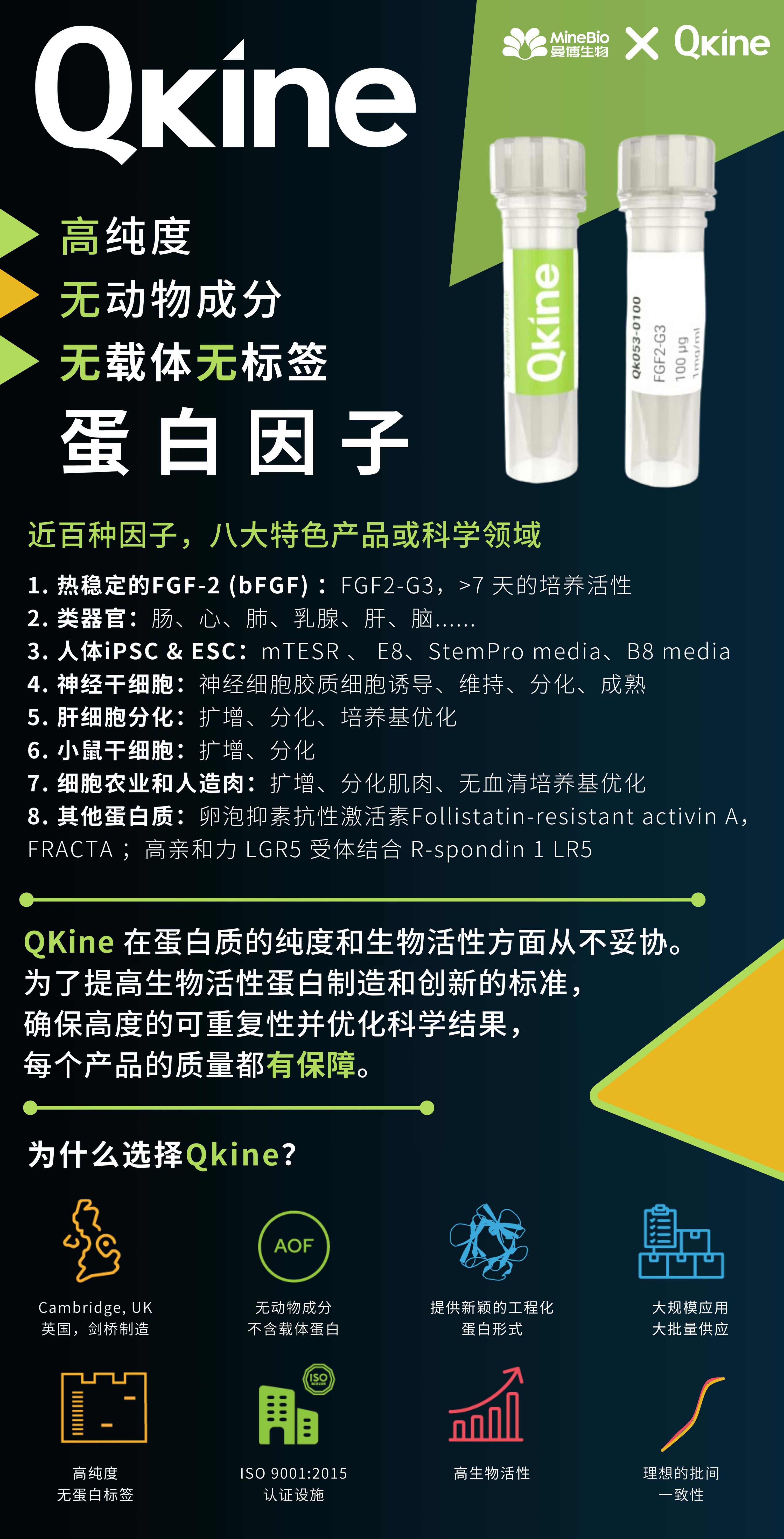 Qkine蛋白因子详情