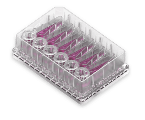 CN-Bio肝-肠双器官串联芯片