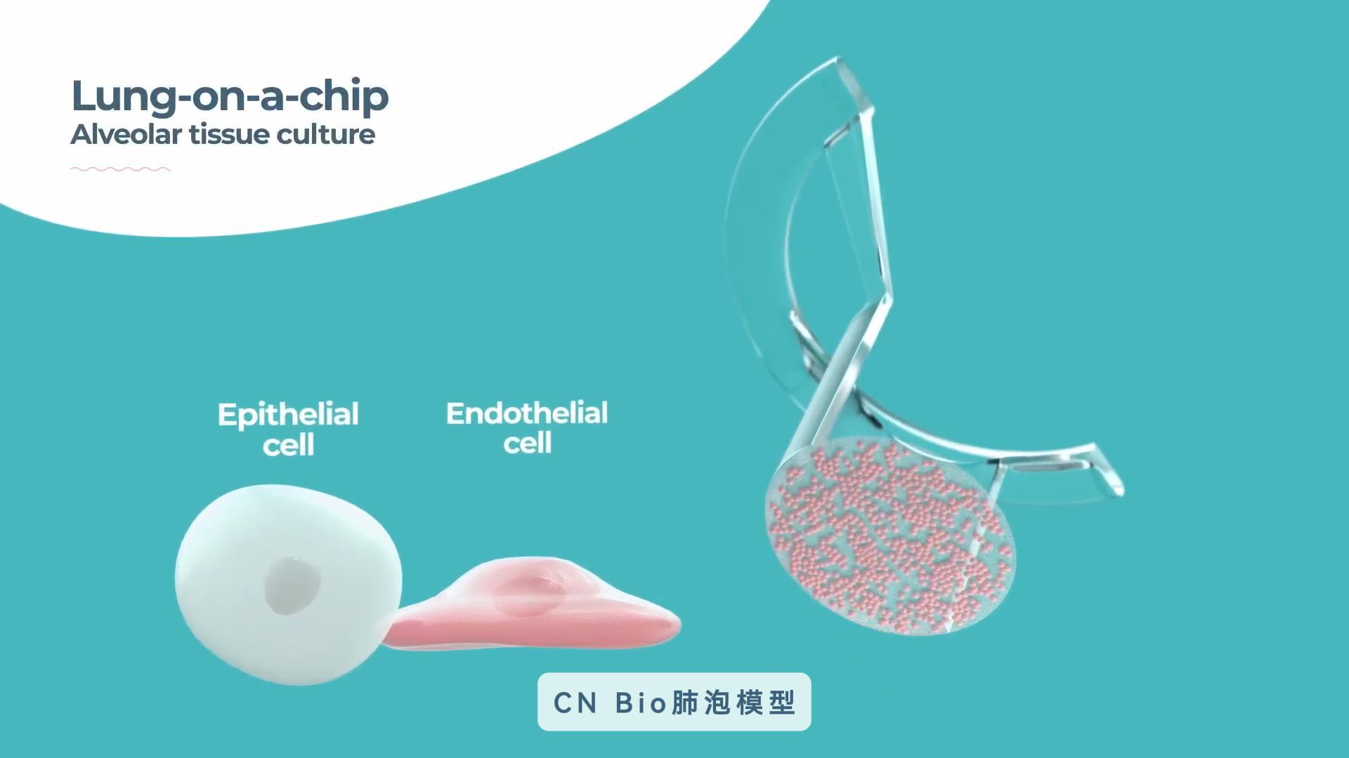 CN Bio微流控器官芯片系统肺泡模型展示