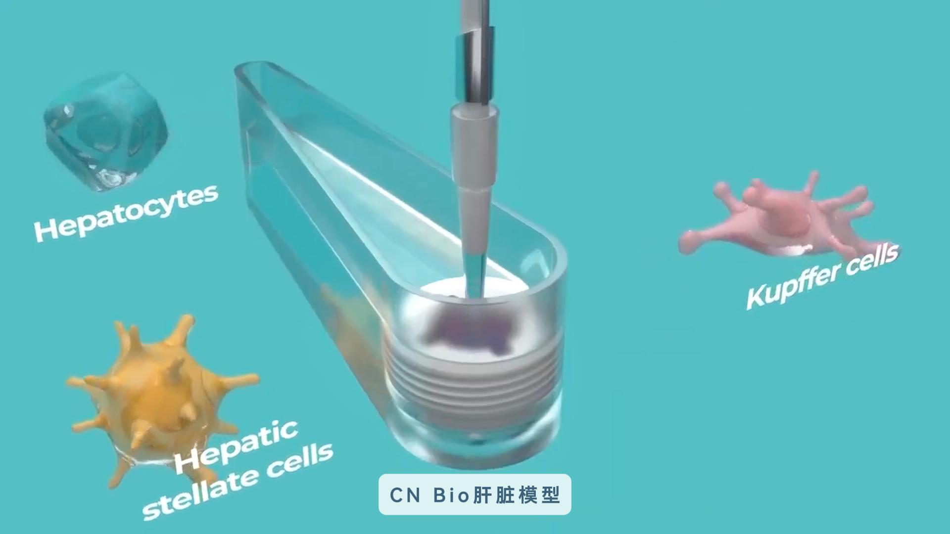 CN Bio微流控器官芯片系统肝脏模型展示