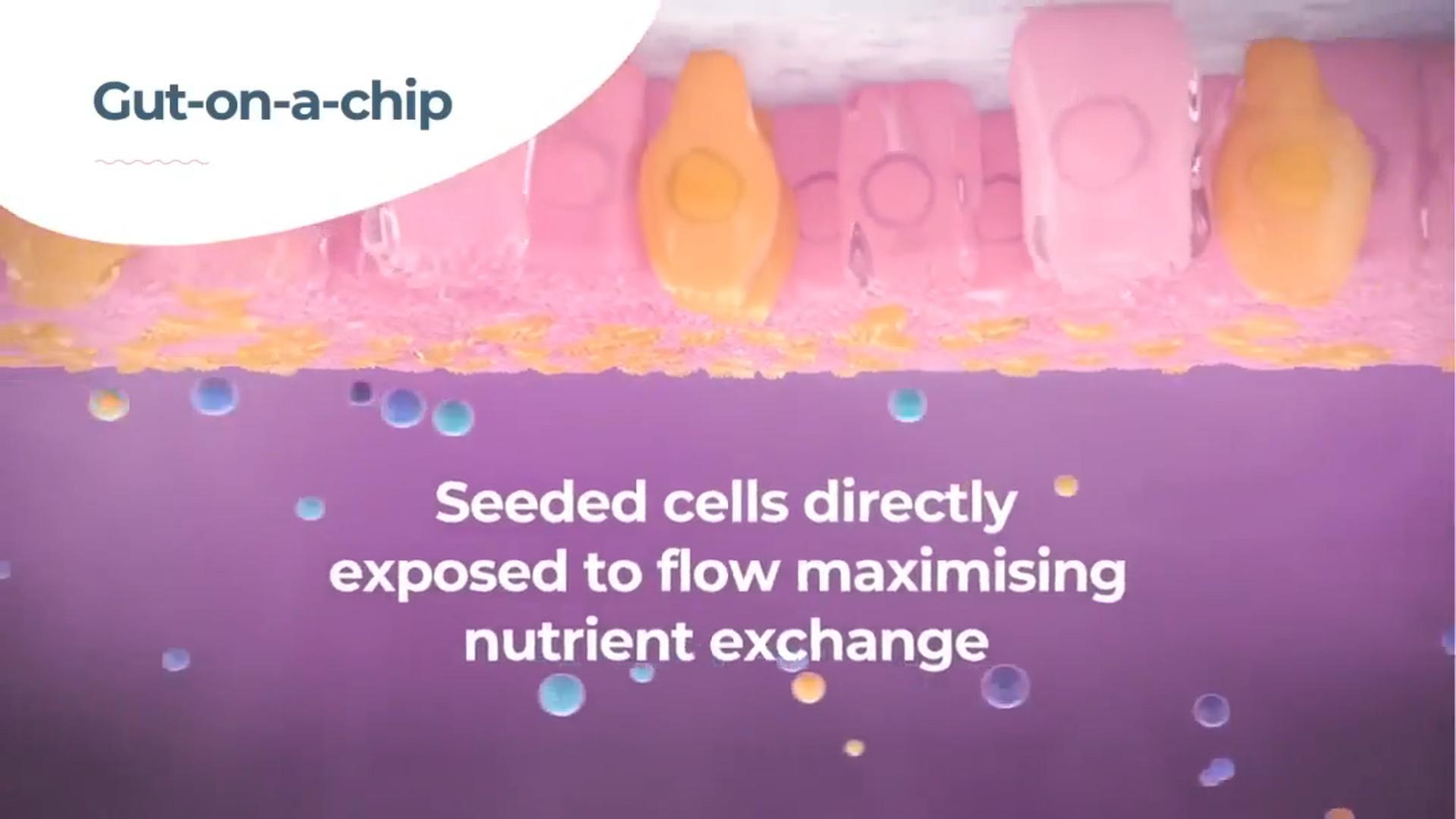 CN Bio微流控器官芯片系统肠模型展示