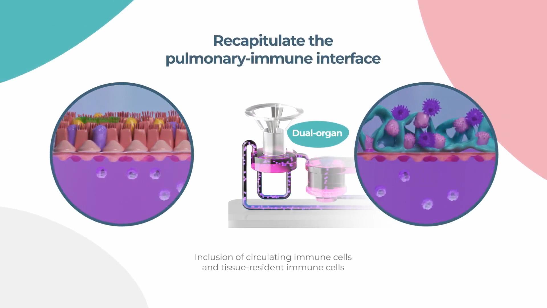 CN Bio微流控器官芯片系统肺/肝双器官芯片模型展示
