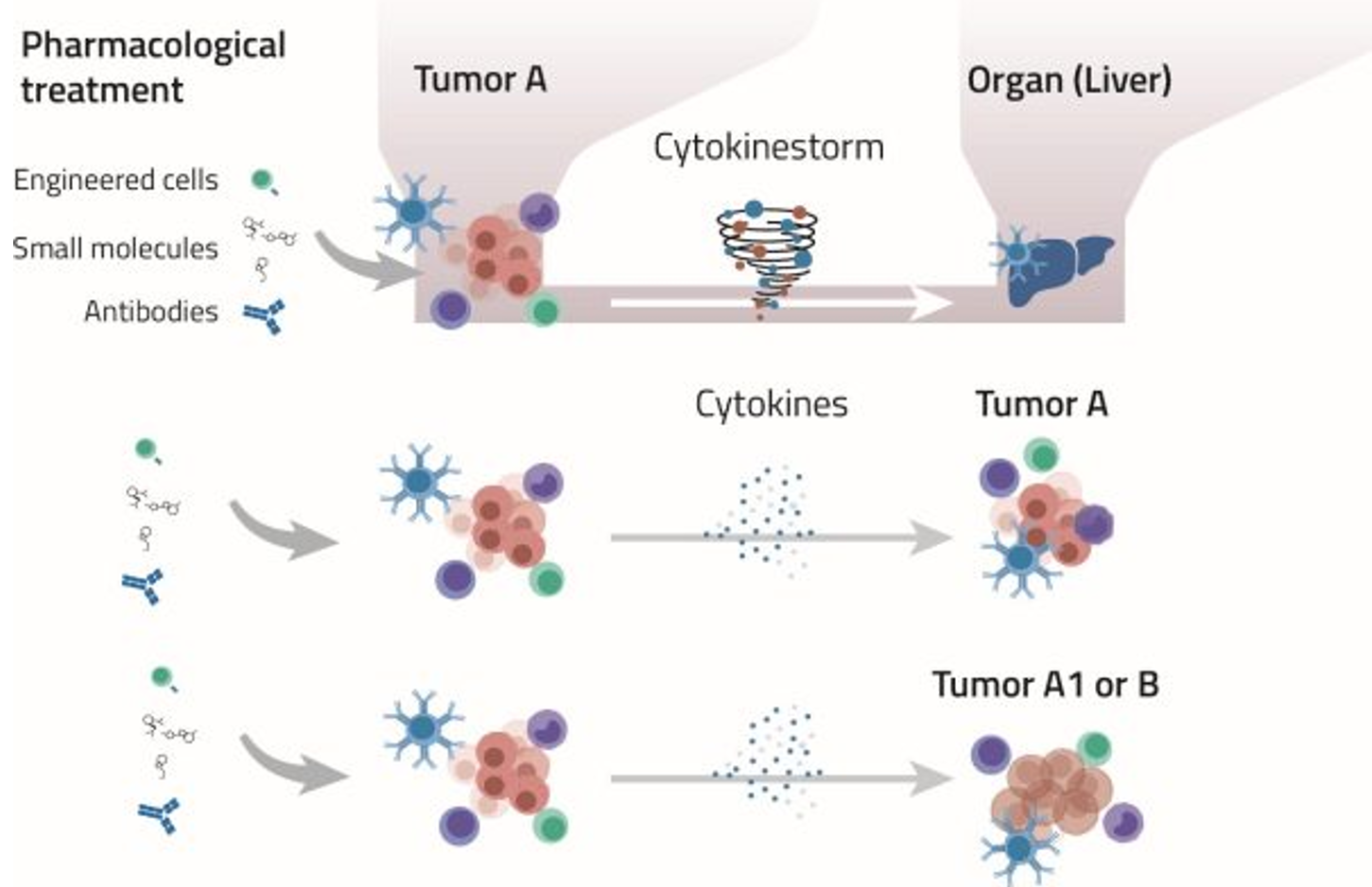 Akura-Twin的OOC应用