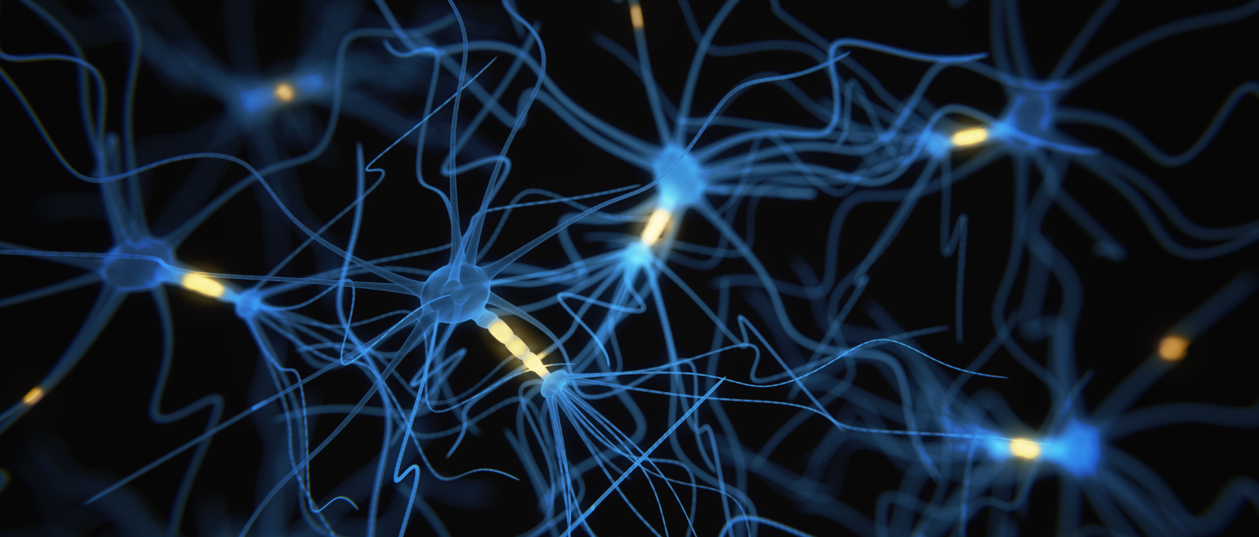 细胞转染优化全攻略：PEI转染试剂的关键参数与转染实践指南