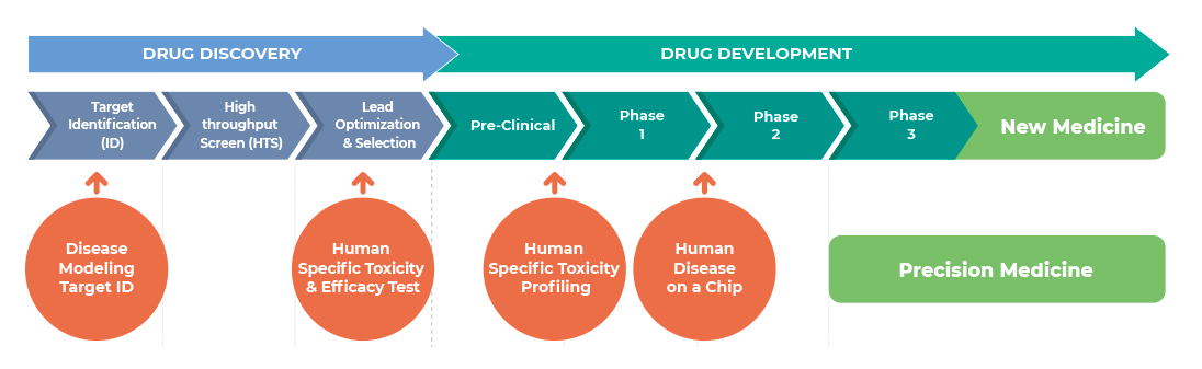 微生理系统（器官芯片）可满足整个药物发现和开发过程中的各种研究需求